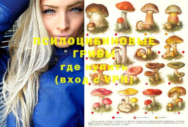 гашиш Инта