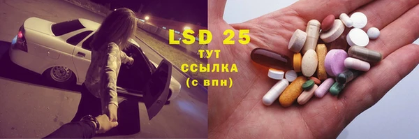 a pvp Инсар