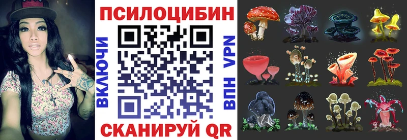 Галлюциногенные грибы мицелий  Жуковский 